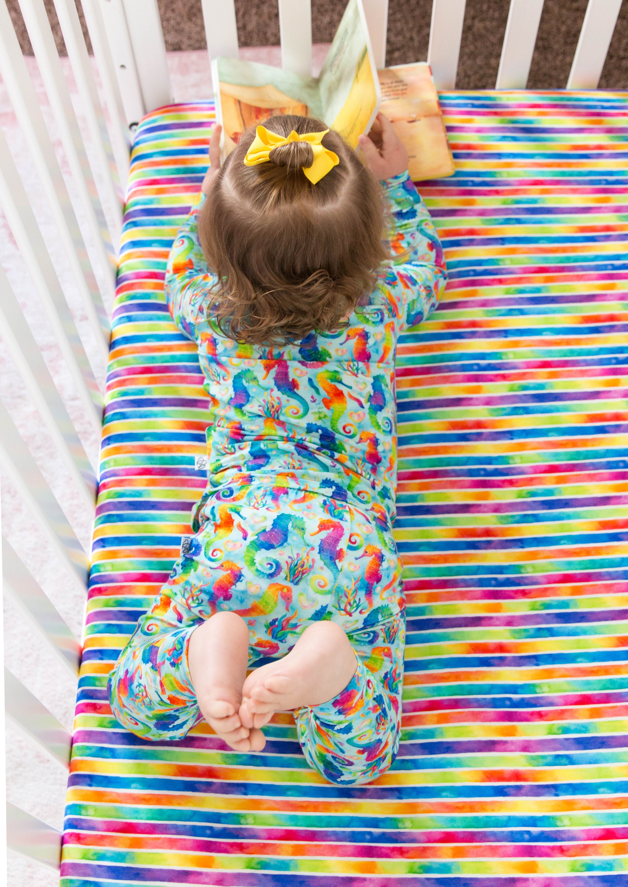 Quinn/Candy Stripe