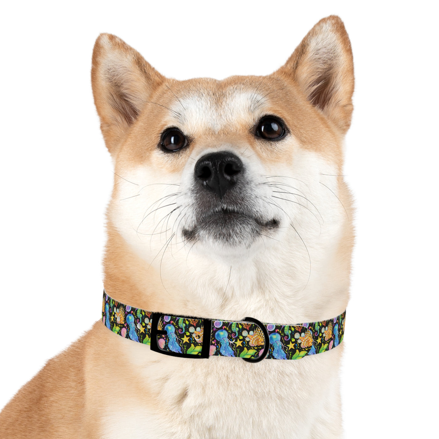 Atlantis Nights Dog Collar