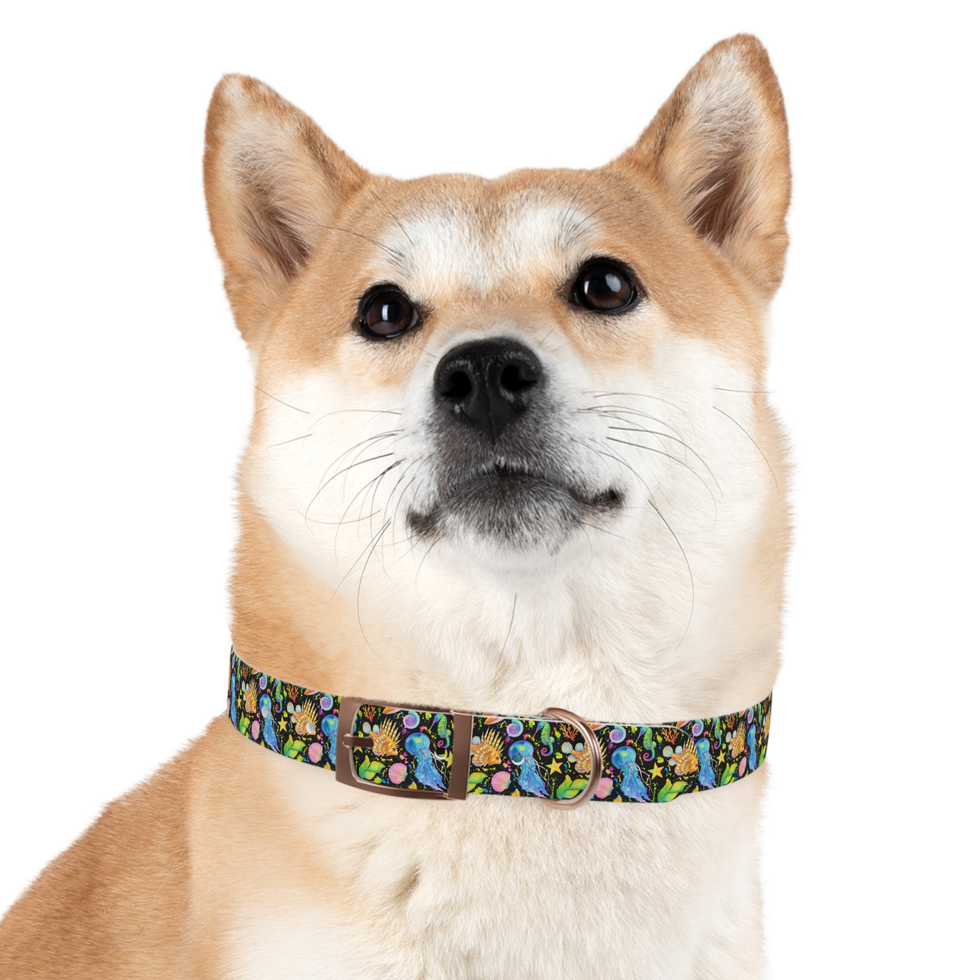 Atlantis Nights Dog Collar